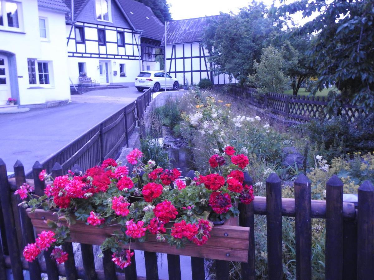 Bergblick Apartment Medebach Luaran gambar